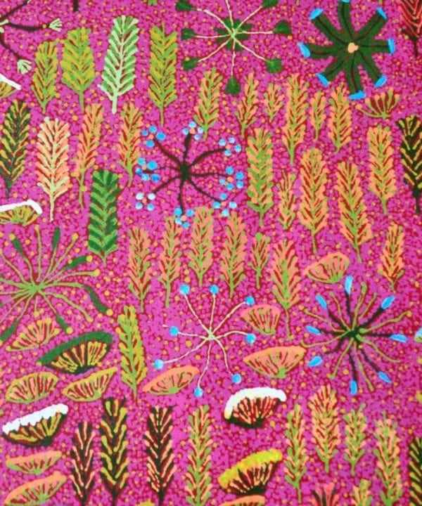 Close up detail of pink Aboriginal culture wallpaper.