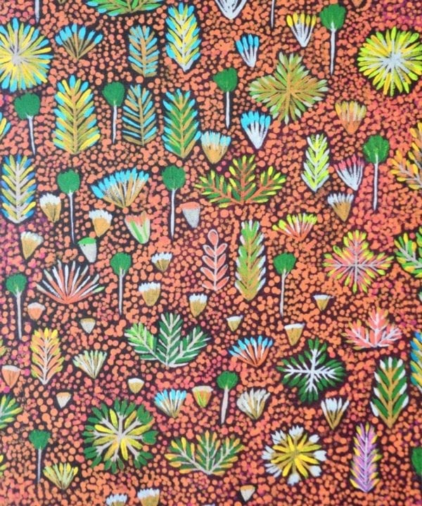 'Daisy' in brown Aboriginal art wallpaper, from Telescope Style.