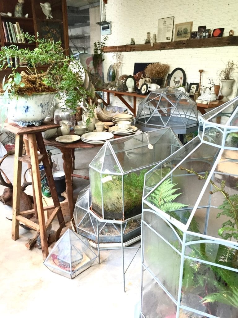 Terrariums at the atmospheric Yarnnakarn ceramics studio in Bangkok, Thailand.