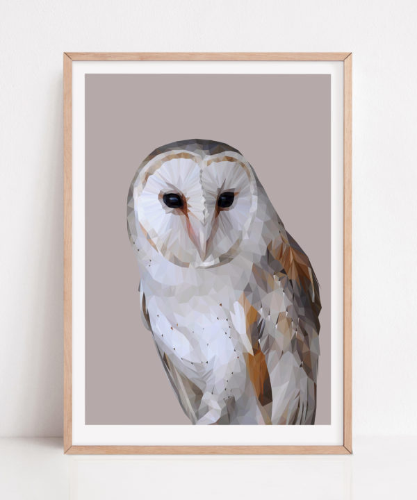 Barn owl print against a soft grey ground with a pale wooden frame.