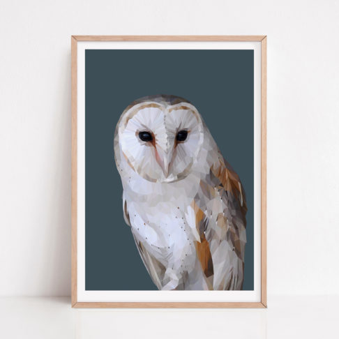 Barn owl print against a petrol blue ground with a pale wooden frame.