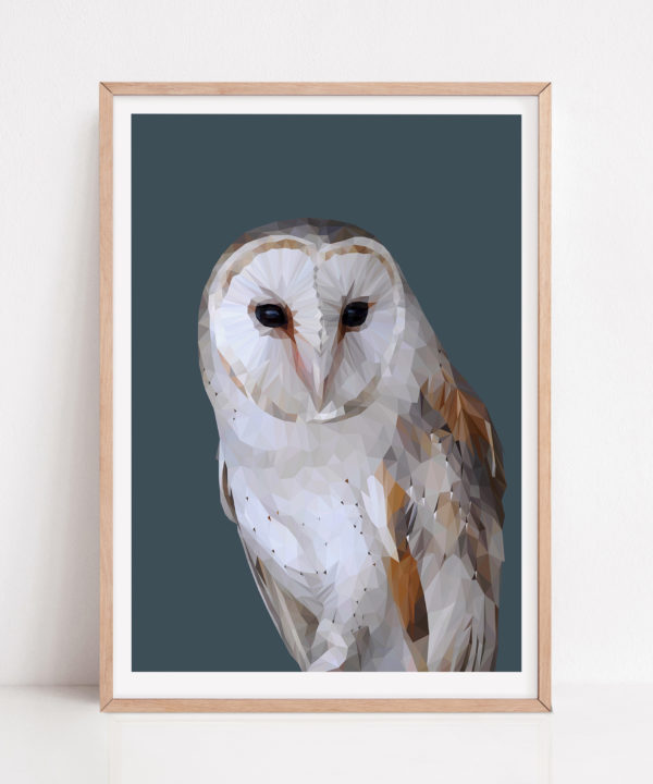 Barn owl print against a petrol blue ground with a pale wooden frame.