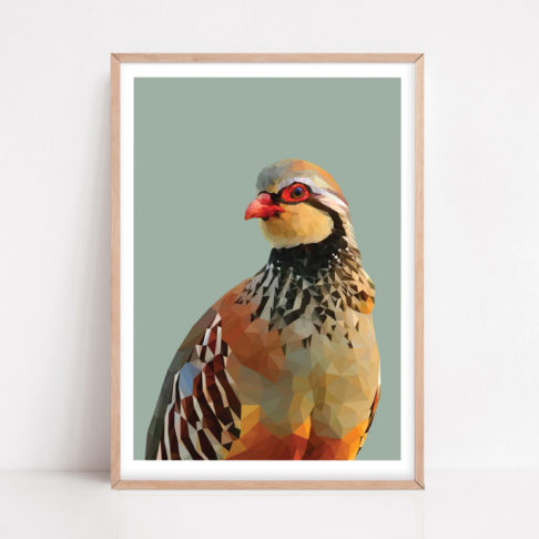 Red-legged partridge print against a soft sage green ground with a pale wooden frame.