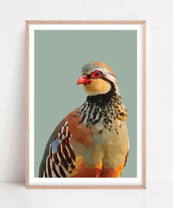 Red-legged partridge print against a soft sage green ground with a pale wooden frame.