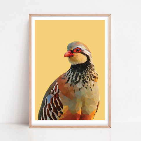 Red-legged partridge print against a soft sage green ground with a pale wooden frame.