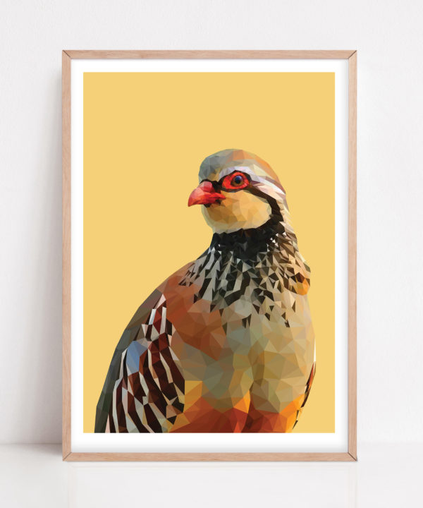 Red-legged partridge print against a soft sage green ground with a pale wooden frame.