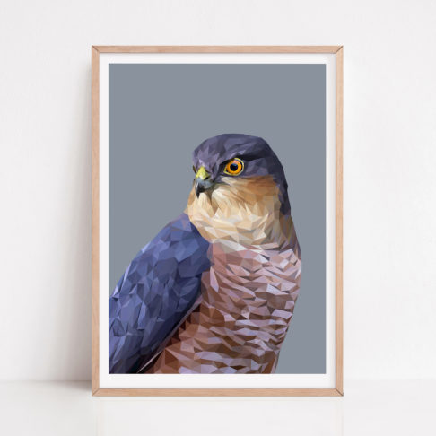 Sparrowhawk print against a soft grey ground with a pale wooden frame.