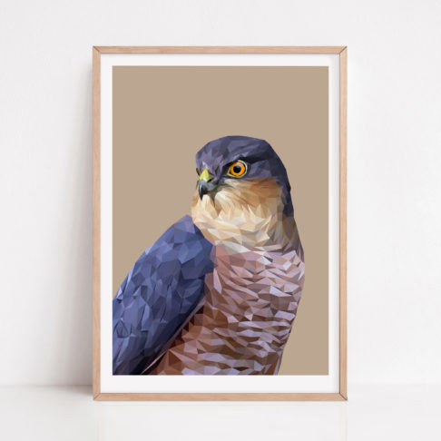 A framed fine art bird of prey drawing digital print against a beige ground with a pale wooden frame.