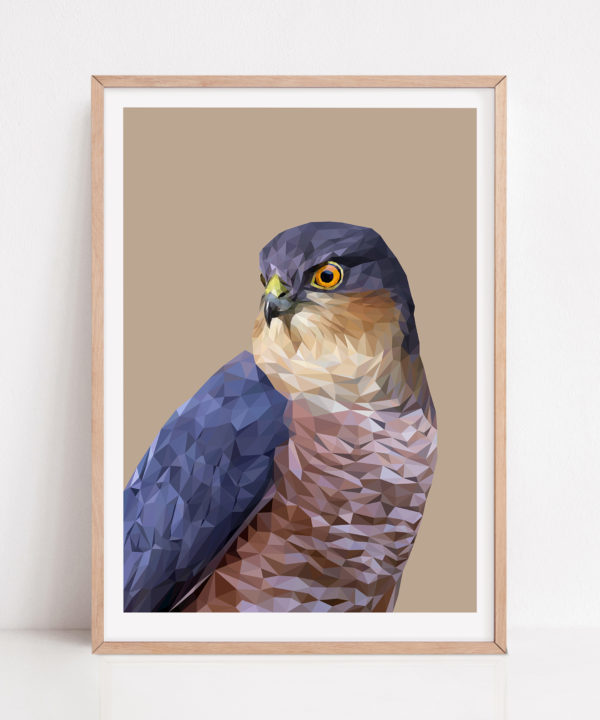 A framed fine art bird of prey drawing digital print against a beige ground with a pale wooden frame.