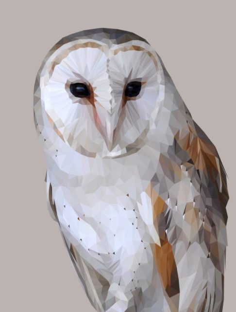 A digitally-rendered barn owl print with a pale grey background.