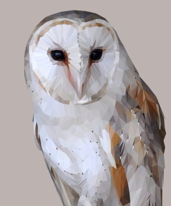 A digitally-rendered barn owl print with a pale grey background.