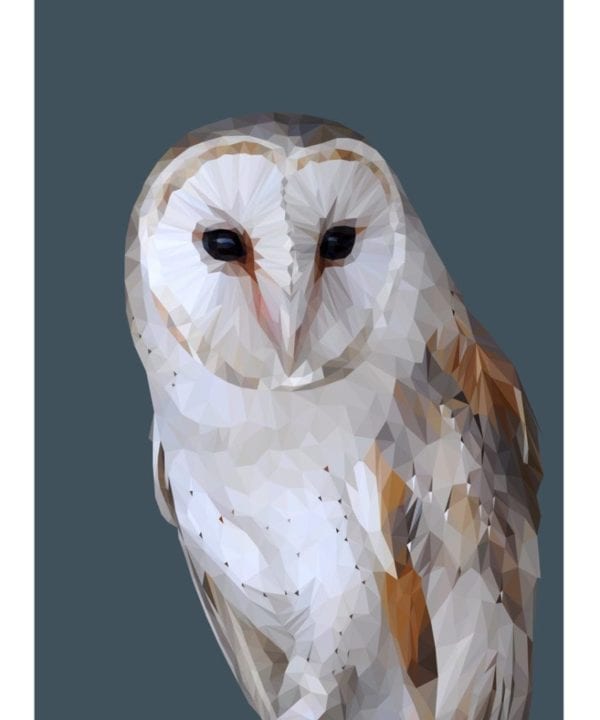 A digitally-rendered barn owl print with a dark blue background.