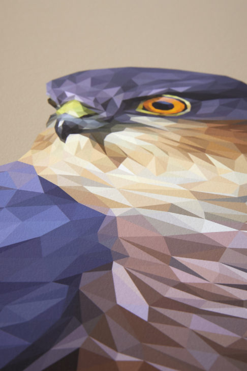 A detail of the digitally-created bird of prey drawing.