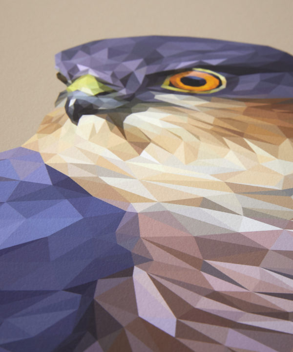 A detail of the digitally-created bird of prey drawing.