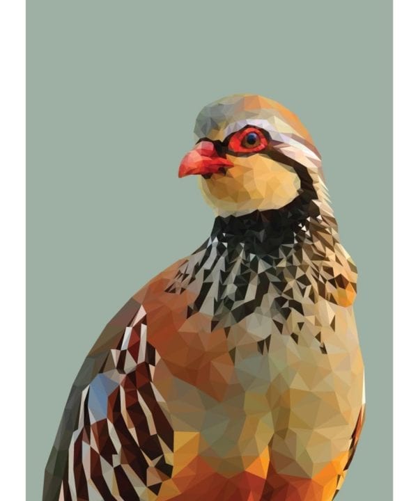 A digitally-rendered fine art partridge print depicting the red-legged partridge against a sage green background.