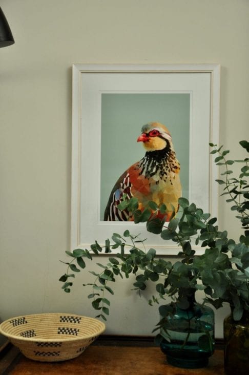 A giclée digital art print of a red-legged partridge with a vase of eucalyptus in the foreground.