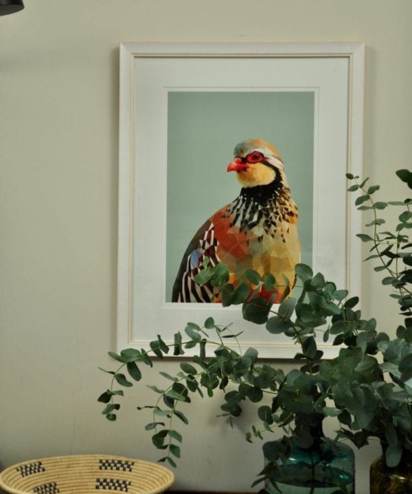 A giclée digital art print of a red-legged partridge with a vase of eucalyptus in the foreground.