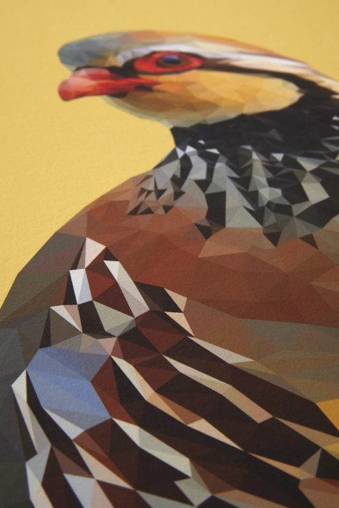 A detail of the digitally-created partridge drawing.