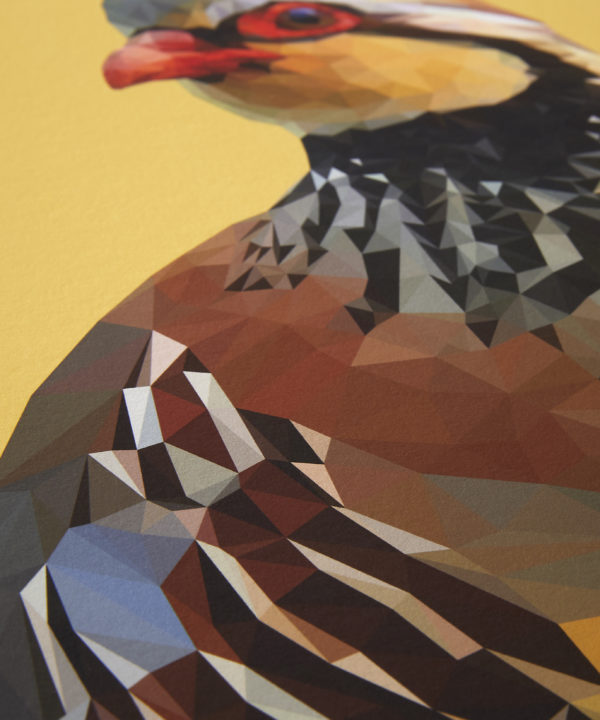 A detail of the digitally-created partridge drawing.