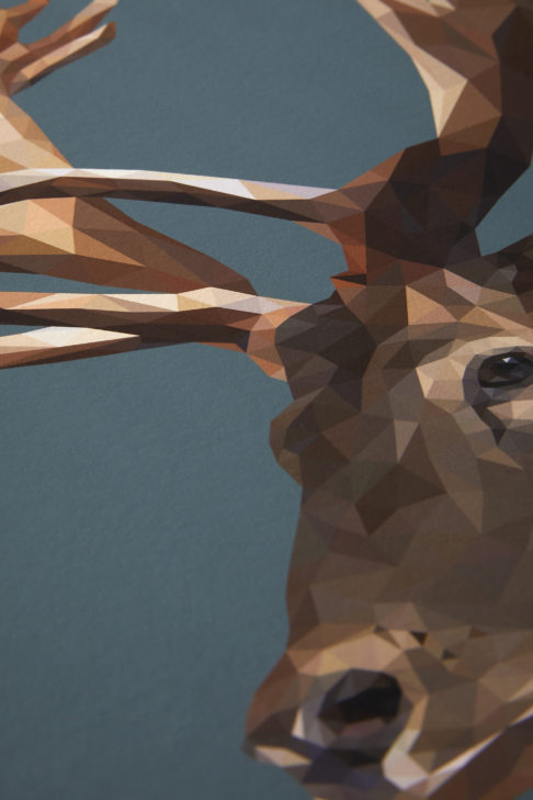 A detail of the digitally-created stag print.