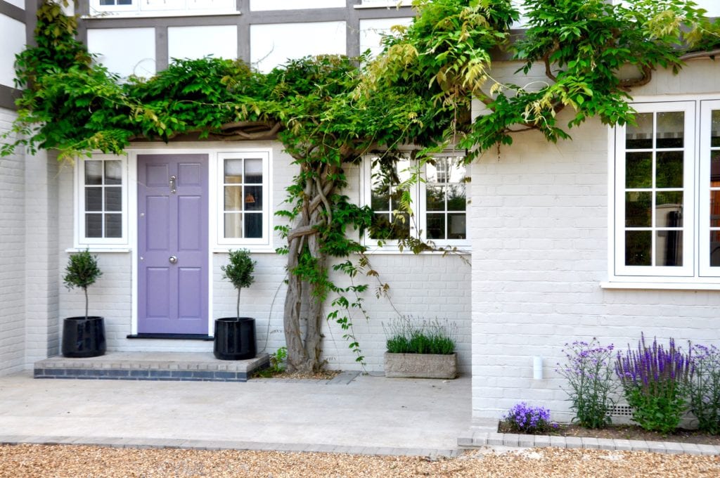 A wisteria-clad proerty frontage with painted cream brickwork and mauve front door.