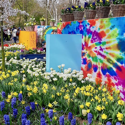 A vivid display of colour at the Keukenhof gardens in Holland, Telescope Style blog.