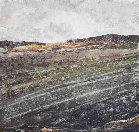 Irish countryside art print picturing the shores of Strangford Lough in Northern Ireland, by Emma Tweedie.