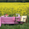 Pink linen tablecloth with subtle motifs that reference Hungarian folk patterns. Draped over a table in a field of yellow flowers.