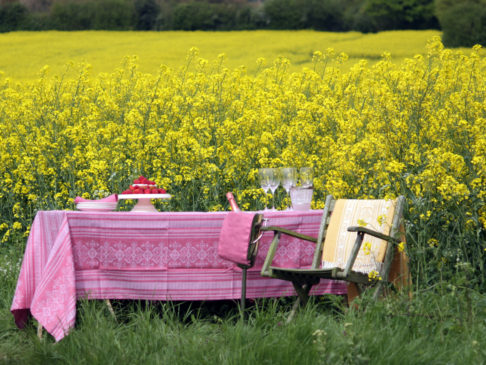 Pink linen tablecloth with subtle motifs that reference Hungarian folk patterns. Draped over a table in a field of yellow flowers.