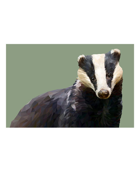 A modern, badger print rendered as a fine art Giclée against a pale green background.