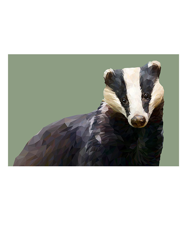 A modern, badger print rendered as a fine art Giclée against a pale green background.