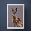 A digital hare print artwork set against a deep blue wall.