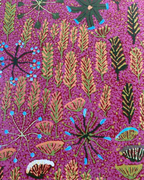 'Betty' indigenous Aboriginal art wallpaper in deep pink from Bay Gallery Home.