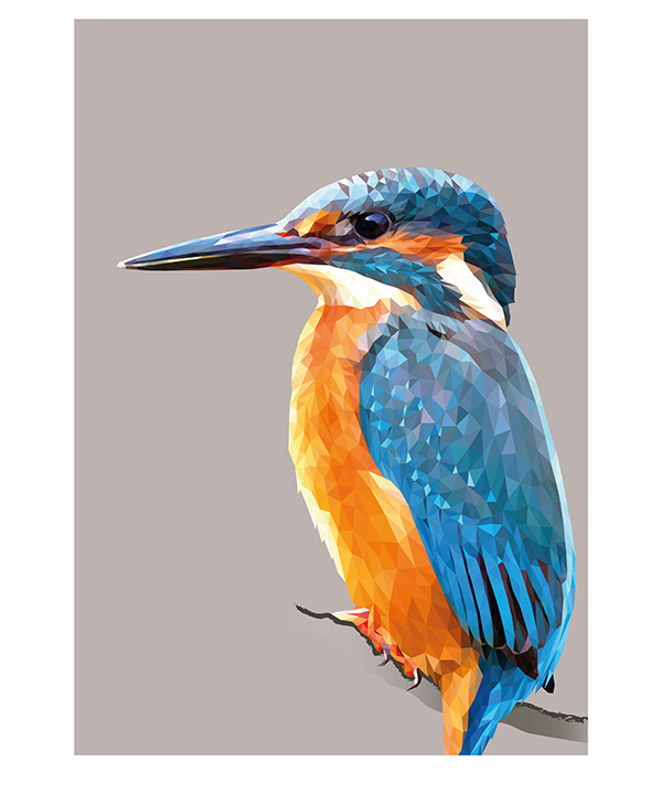 Digitally-rendered Kingfisher artwork as a fine art print.