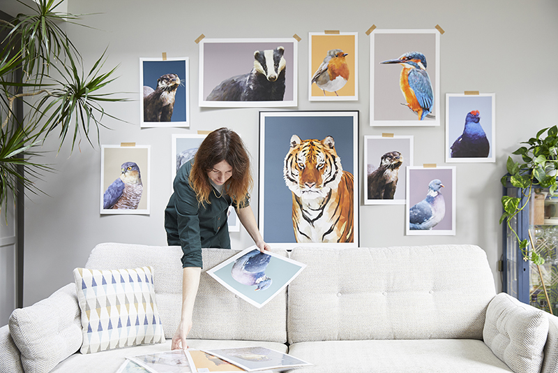 Wildlife wall art creative Talia Giles selecting pictures for an exhibition.