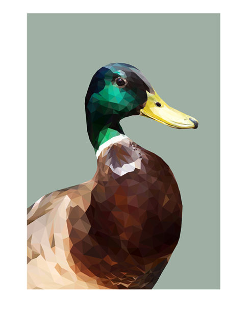 Detail of a mallard duck artwork by digital artist Talia Giles.