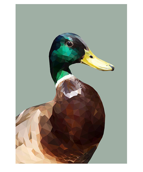 Detail of a mallard duck artwork by digital artist Talia Giles.