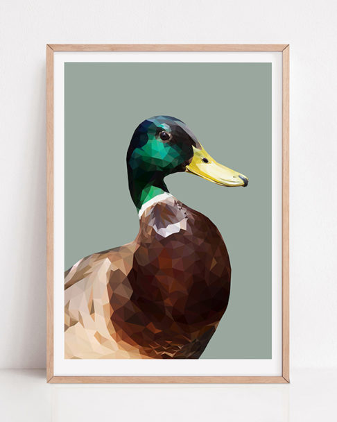 Male mallard duck print rendered digitally and sold unframed as a fine art Giclée print. Shown here with a pale wooden frame.