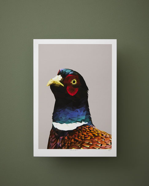 A modern pheasant print against a deep green backdrop.