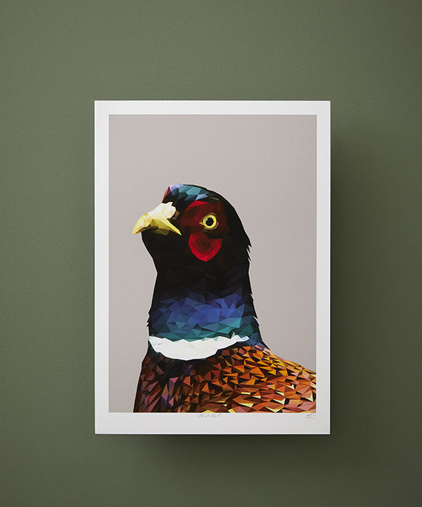 A modern pheasant print against a deep green backdrop.