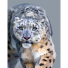 Snow leopard art as a limited edition, digital Giclée print portrait.