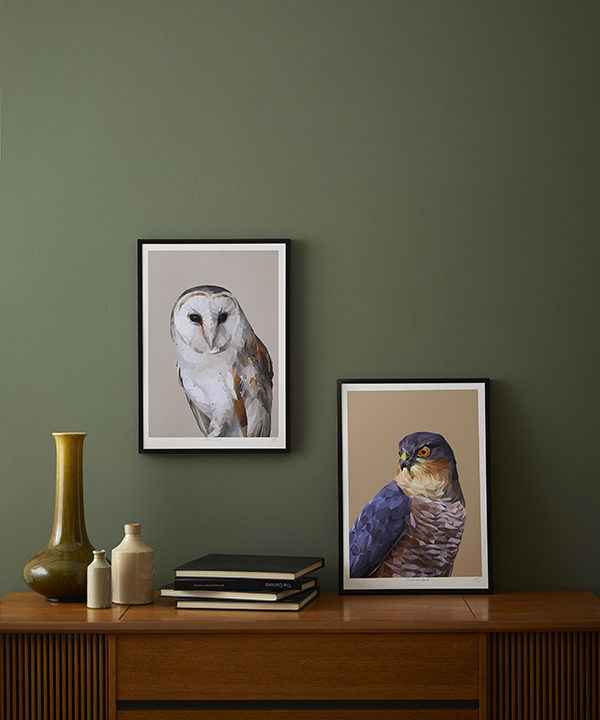 Owl print and sparrrowhawk print framed against a deep green wall.