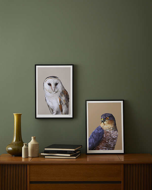 Owl print and sparrrowhawk print framed against a deep green wall.