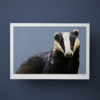 A modern, badger artwork print rendered as a fine art Giclée against a blue background.