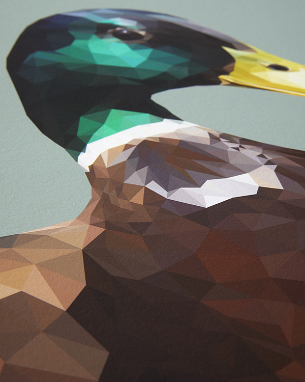 A detail of a green-headed mallard from the digital woodland wildlife art collection by Talia Giles.