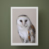 Barn owl art print on a soft grey ground against a deep green wall.