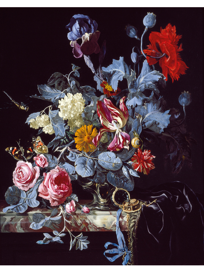 An Ashmolean museum collection Old Dutch Masters painting by Willem van Aelst as a wall canvas from Surface View.