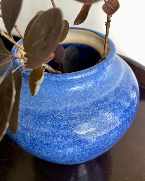 A rustic cornflower blue pot filled with Smoke Bush plant.