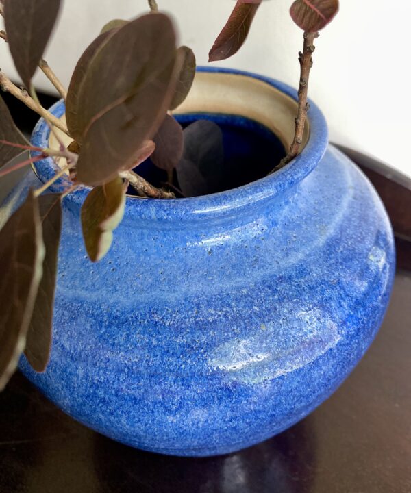 A rustic cornflower blue pot filled with Smoke Bush plant.