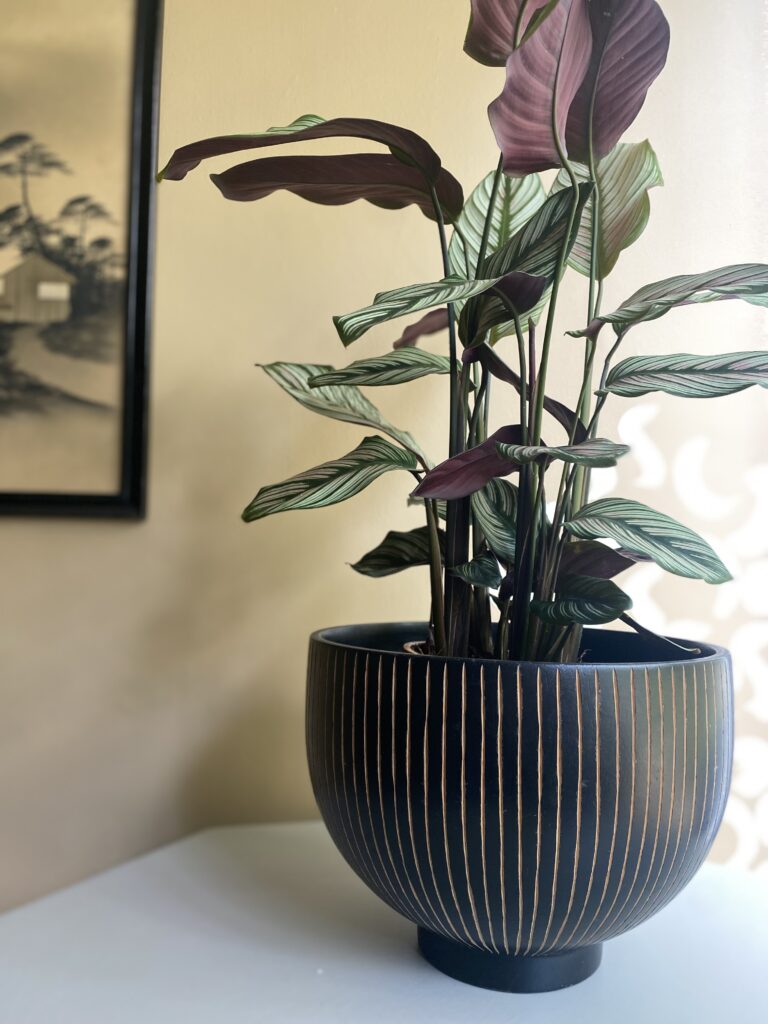 A striped wooden bowl planter.